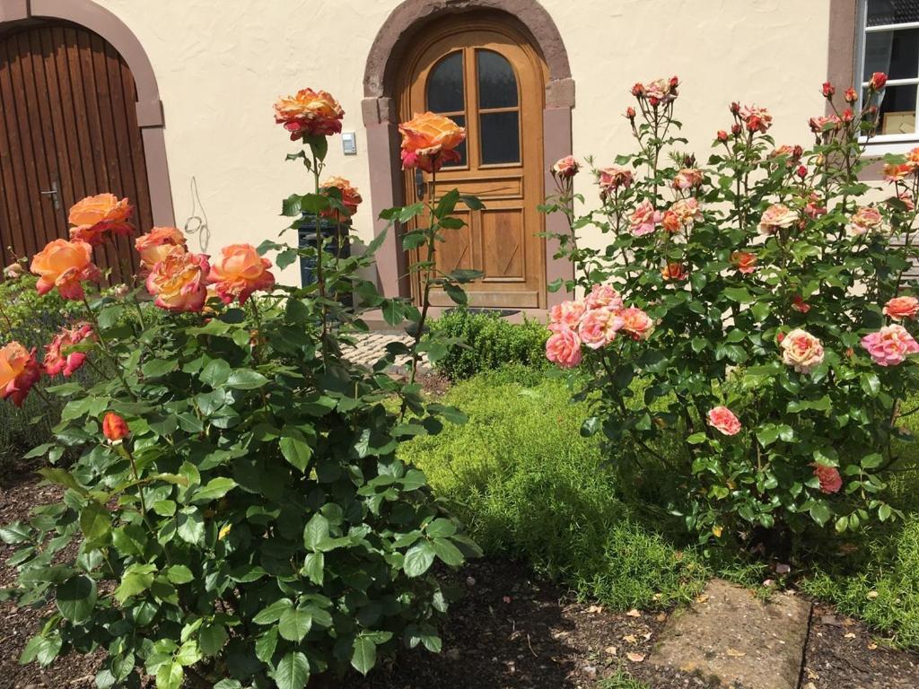 Ferienwohnung In Historischem Bauernhaus In Der Eifel Mettendorf Exterior photo